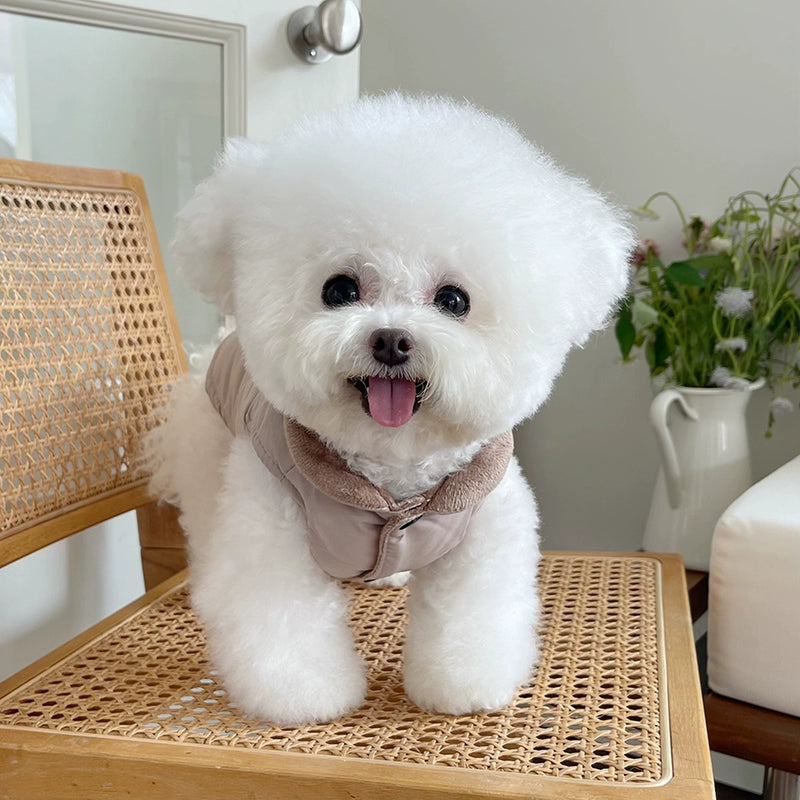Pet Clothes Fall and Winter New Cartoon Velvet Cotton Clothes Traction Vest Teddy Bichon Dog Cat Cotton Coat Jacket