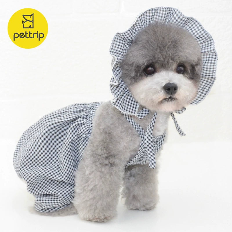 2024 New Arrival Pet Clothes Summer Pumpkin Pants Kitty Dress Teddy/Pomeranian Clothes