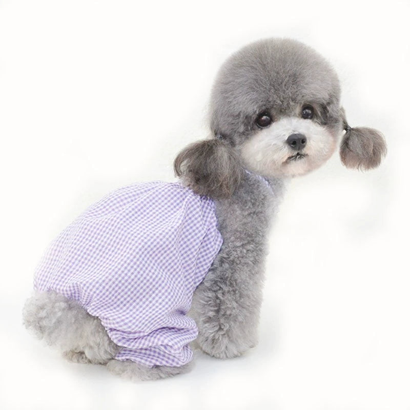 2024 New Arrival Pet Clothes Summer Pumpkin Pants Kitty Dress Teddy/Pomeranian Clothes