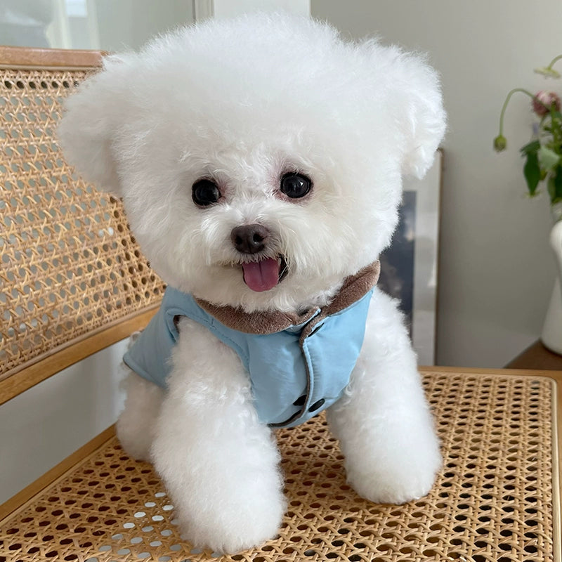 Pet Clothes Fall and Winter New Cartoon Velvet Cotton Clothes Traction Vest Teddy Bichon Dog Cat Cotton Coat Jacket
