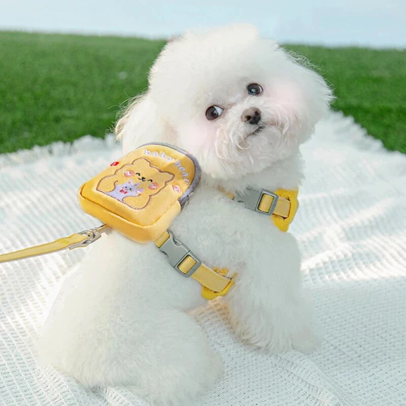 Cute Cartoon Designed Pet Backpack and Quick Release Harness