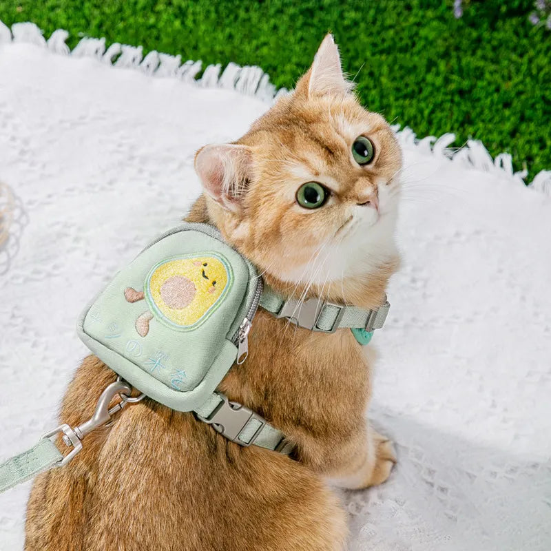 Cute Cartoon Designed Pet Backpack and Quick Release Harness