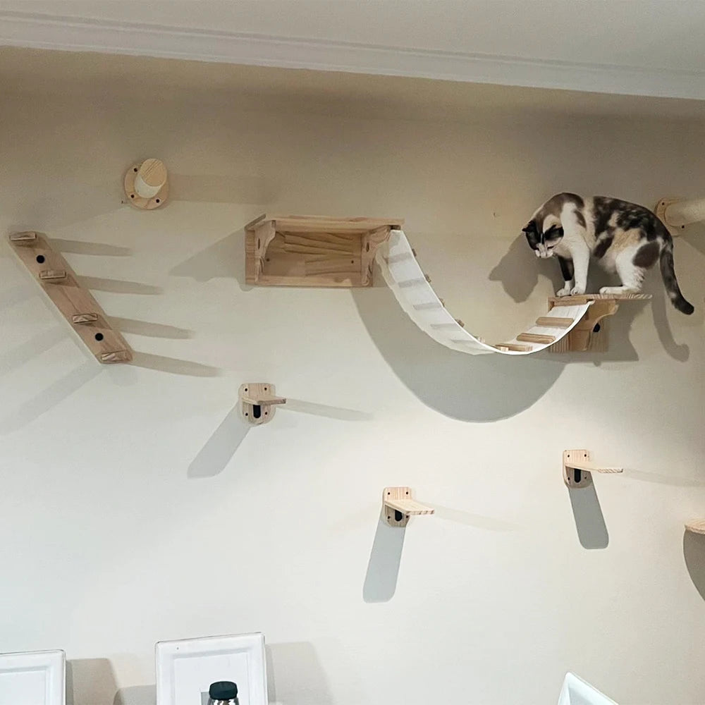 Wooden Cat Shelves