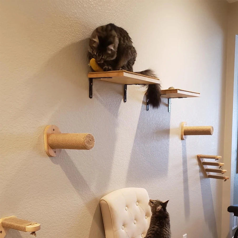 Wooden Cat Shelves