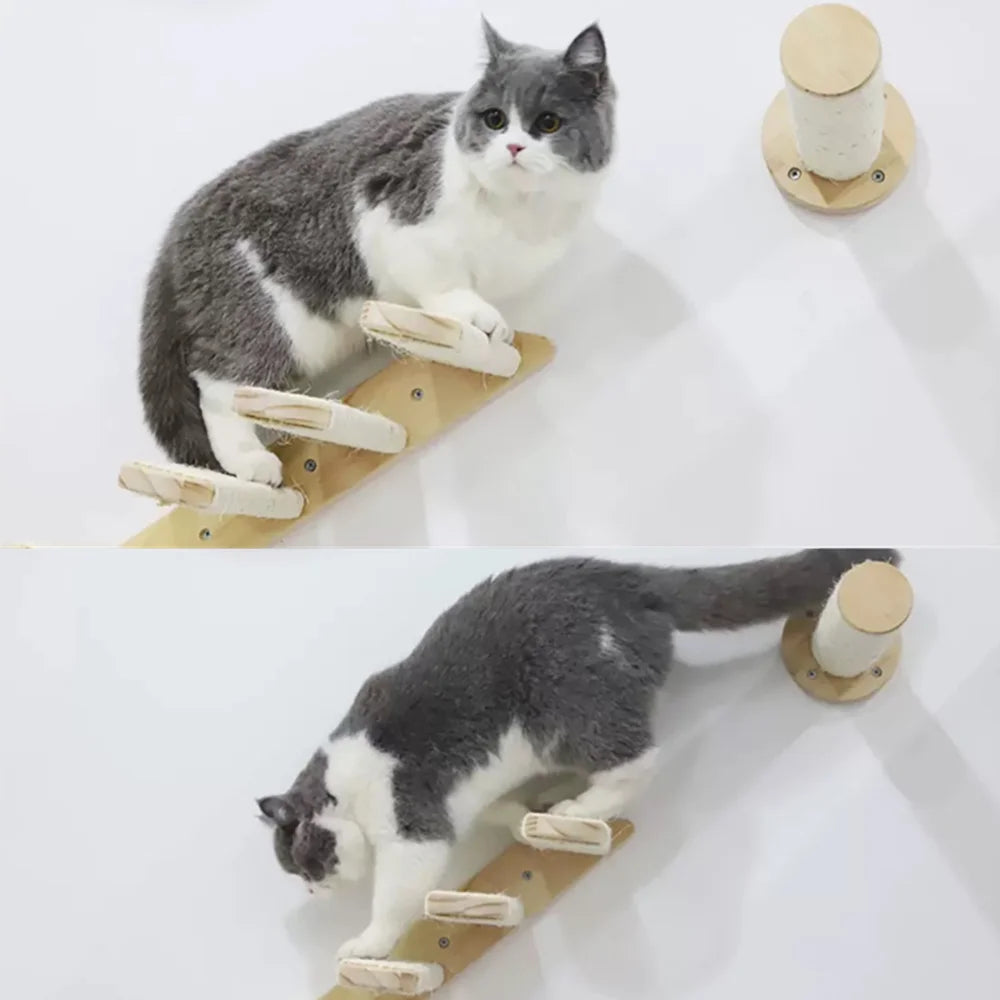 Cat Wall Mounted Furniture Wooden Climbing Shelf Set