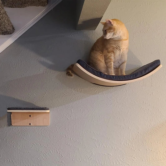Wooden Cat Shelves